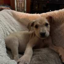 Thumbnail photo of Turner #1