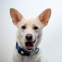 Thumbnail photo of Max #1