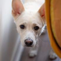 Thumbnail photo of Max #2