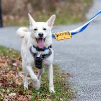 Thumbnail photo of Max #3