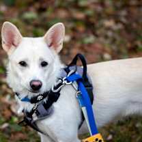 Thumbnail photo of Max #4