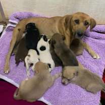 Thumbnail photo of Espresso #4