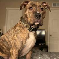 Thumbnail photo of Denver #1