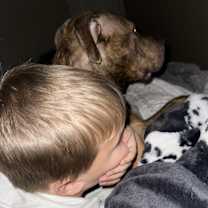 Thumbnail photo of Denver #2