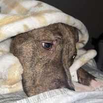 Thumbnail photo of Denver #3