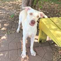 Thumbnail photo of Kylie 25-11-099 #4