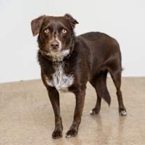 Thumbnail photo of LuLu #4