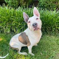 Thumbnail photo of Sierra Leone #1