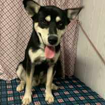 Thumbnail photo of Archer #1