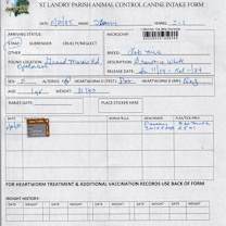 Thumbnail photo of Starry #3