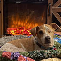 Thumbnail photo of George #2