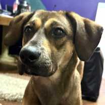 Thumbnail photo of River #2