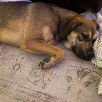 Thumbnail photo of River #4