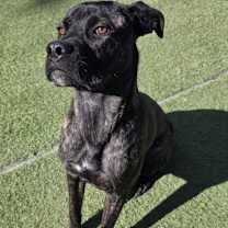 Thumbnail photo of Drake #2