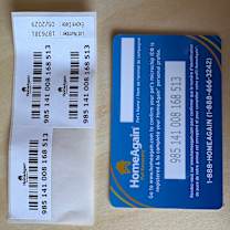 Thumbnail photo of Pepper #3