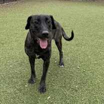 Thumbnail photo of Leia #1