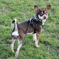 Thumbnail photo of Charleston #3