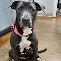 Thumbnail photo of Busterella #1