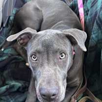 Thumbnail photo of Busterella #3