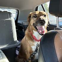 Thumbnail photo of Grace #2