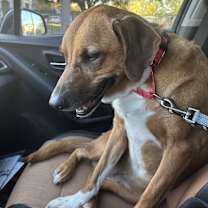 Thumbnail photo of Grace #4