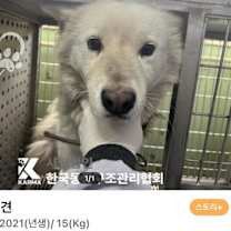 Thumbnail photo of Hayang #3