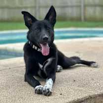 Thumbnail photo of Mimi #3