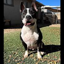 Thumbnail photo of Cashew #1