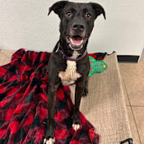 Thumbnail photo of Benson #4