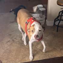 Thumbnail photo of Max #1