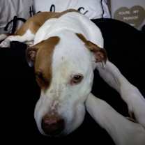 Thumbnail photo of Max #2