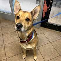 Thumbnail photo of Hendrix #2