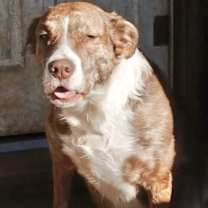 Thumbnail photo of Tasha #2