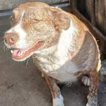 Thumbnail photo of Tasha #4