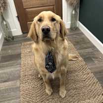 Thumbnail photo of Elmer #1