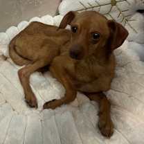 Thumbnail photo of Kane #4