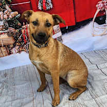 Thumbnail photo of Brooke KA #1