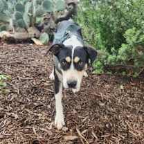 Thumbnail photo of Zelda JuM* #3