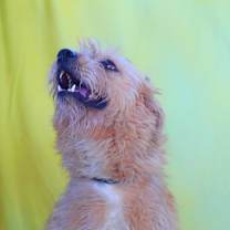 Thumbnail photo of Maya JuM #4