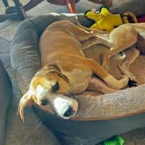 Thumbnail photo of Zoe #4