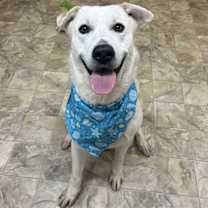 Thumbnail photo of Murphy #1