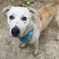 Thumbnail photo of Murphy #3