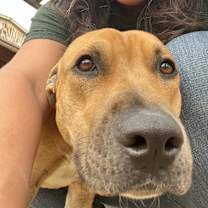 Thumbnail photo of Bo #4