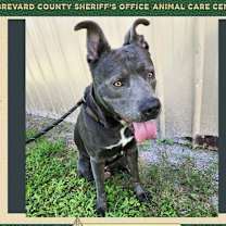 Thumbnail photo of Bruce #1