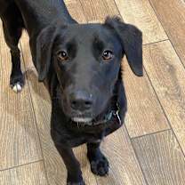 Thumbnail photo of Tanner #1