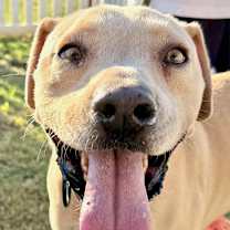 Thumbnail photo of Rip #2