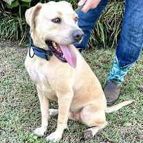 Thumbnail photo of Rip #4