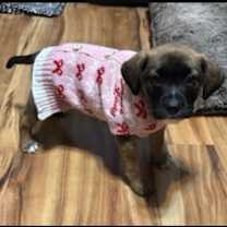 Thumbnail photo of Bonfire D67163 #2