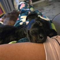 Thumbnail photo of Jack #3