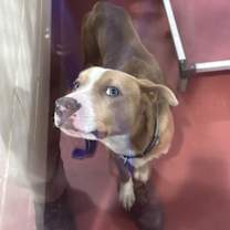 Thumbnail photo of Haro (302) #2